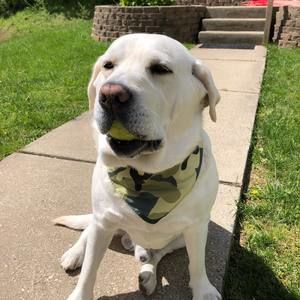 Meet your Posher, Alayna